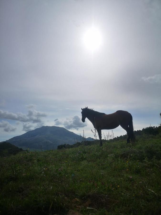 La Rejertilla El Burgo Buitenkant foto